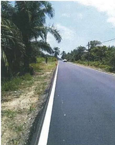 Freshly applied white edgeline on a newly surfaced road